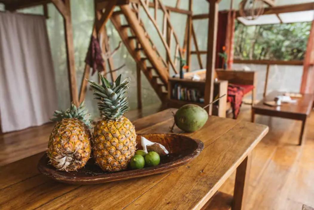 Cocovivo Hotel Bocas del Toro Exterior photo