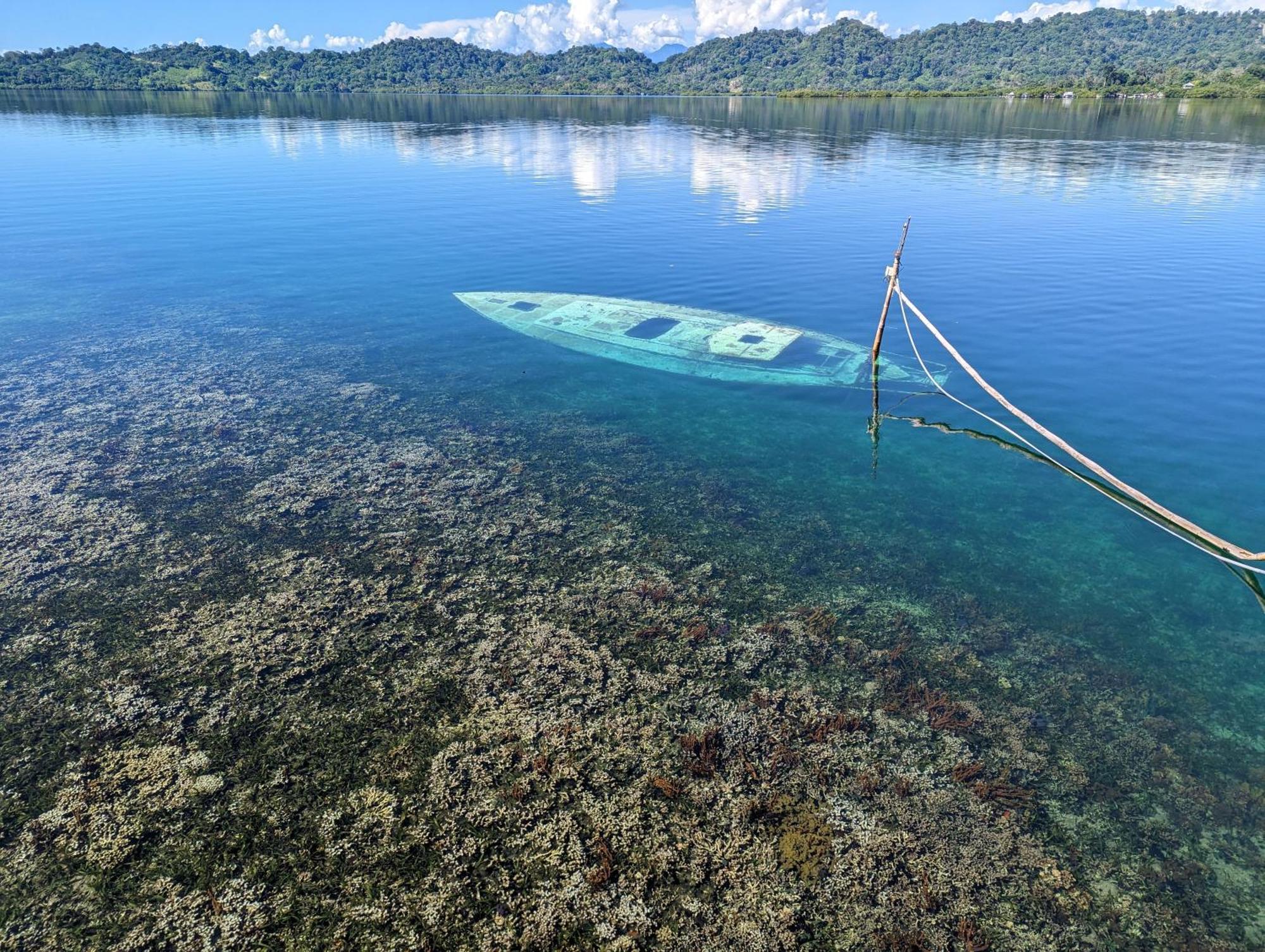 Cocovivo Hotel Bocas del Toro Exterior photo