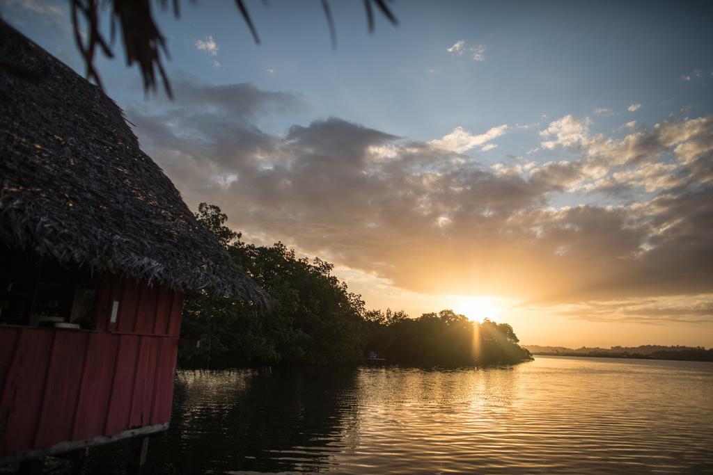 Cocovivo Hotel Bocas del Toro Exterior photo