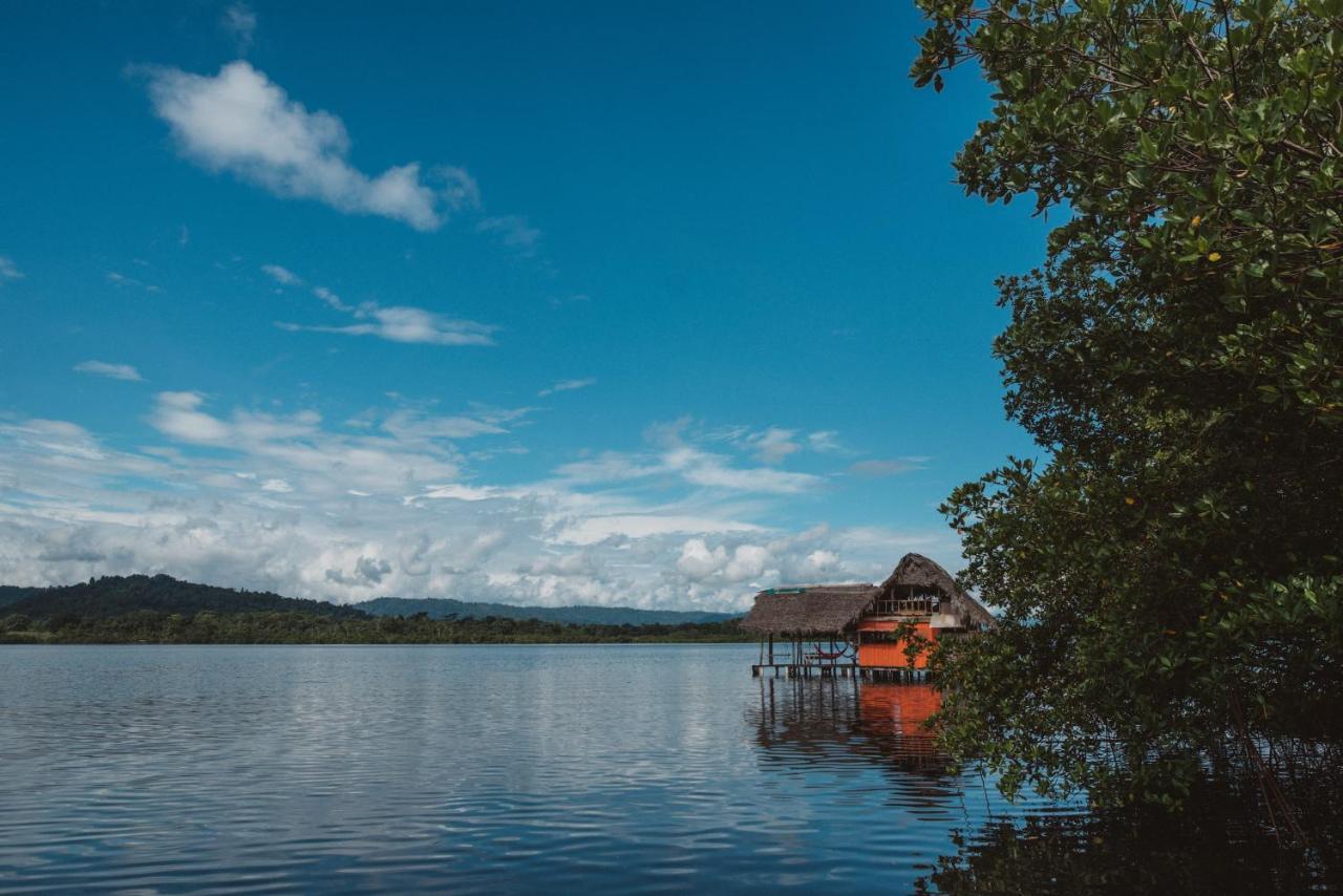 Cocovivo Hotel Bocas del Toro Exterior photo